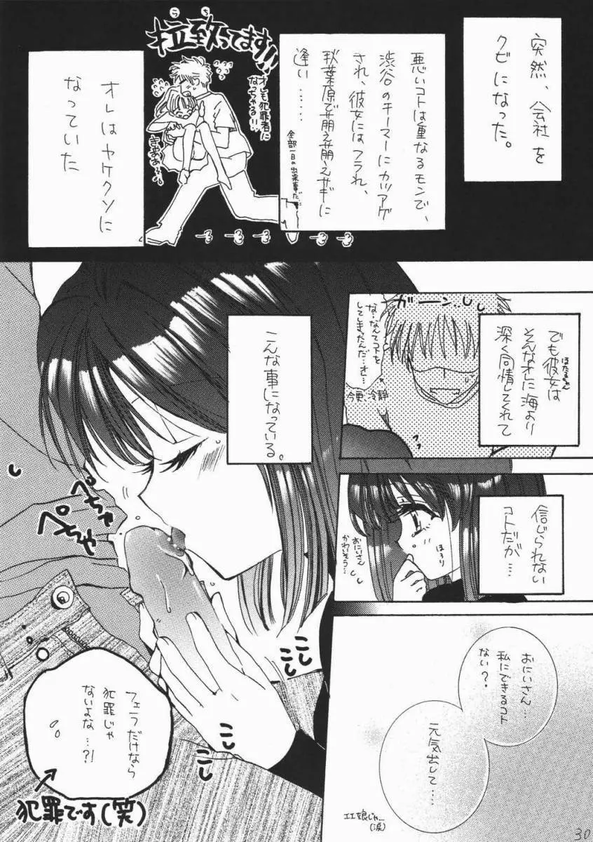 蛍VIII Page.29