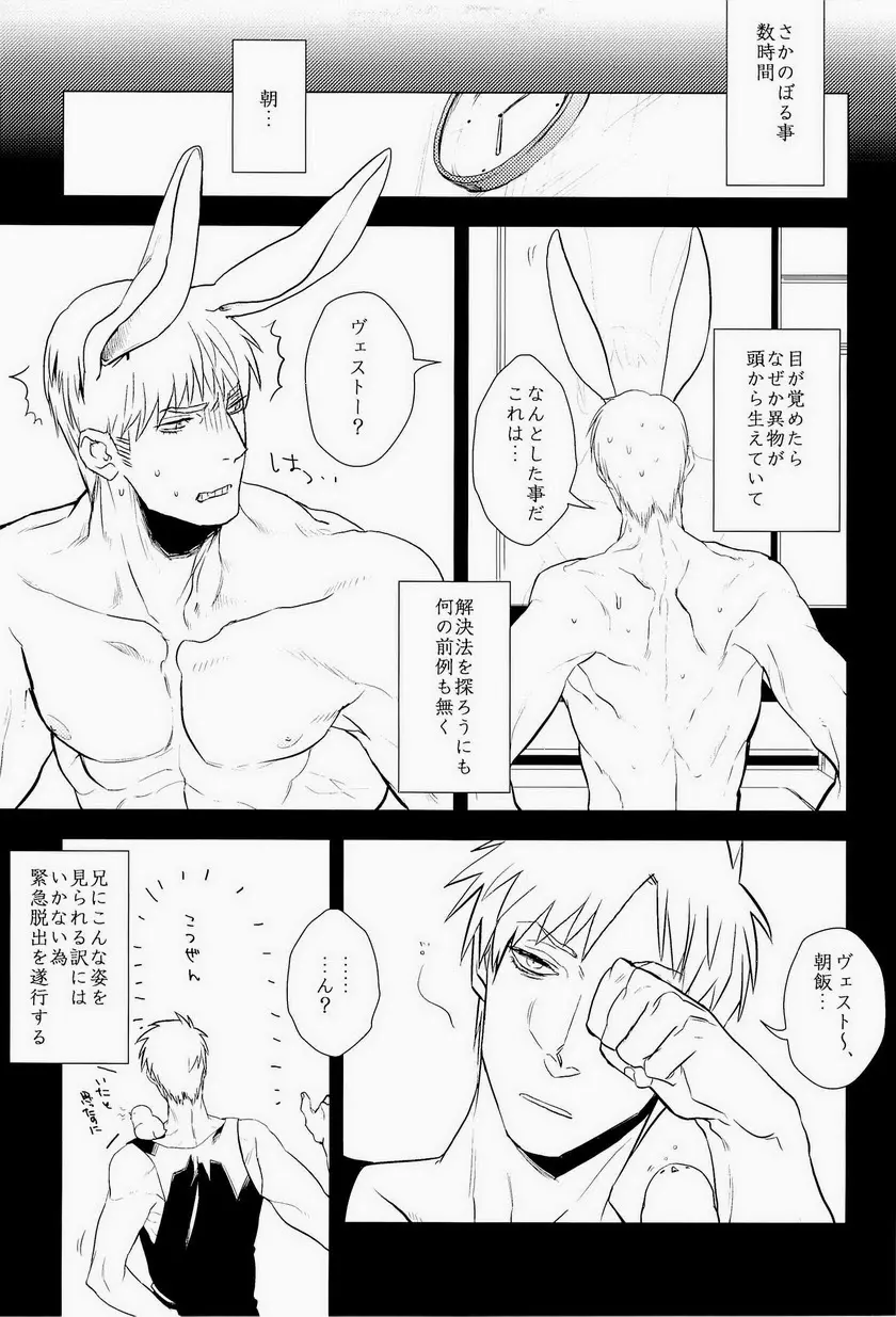 エロティクス Page.13