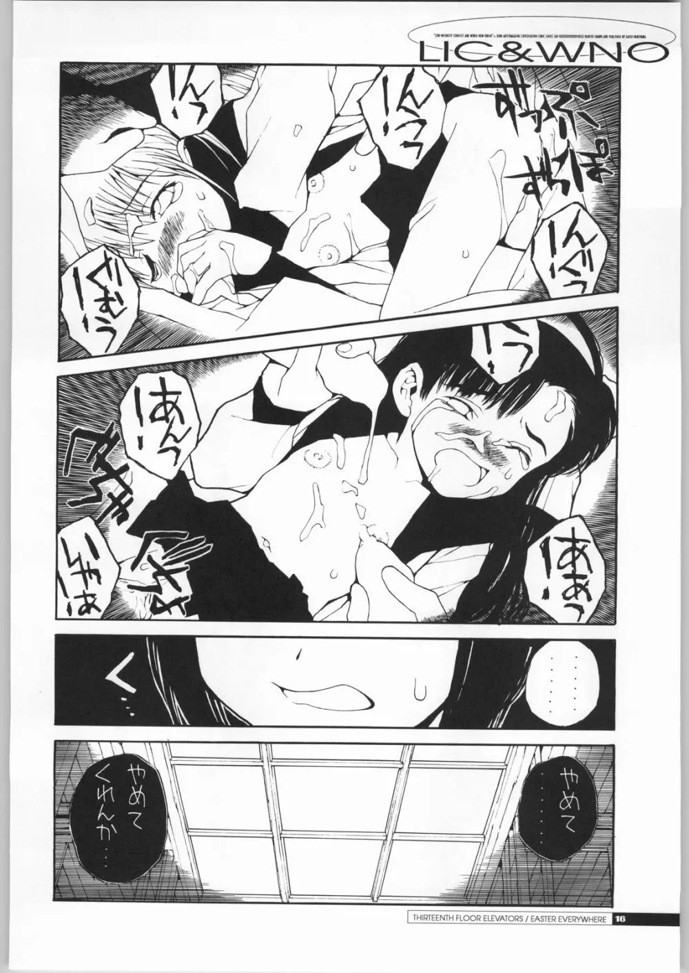 低強度紛争と世界新秩序 Page.15