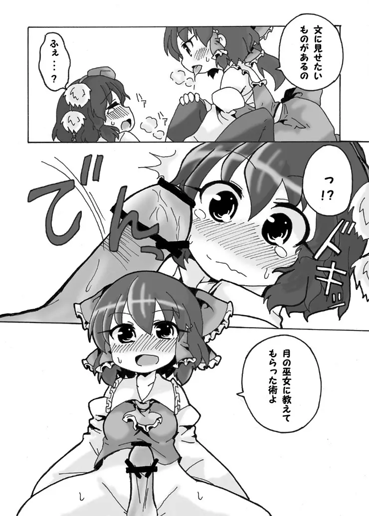 儚月抄後あやれいむ Page.10