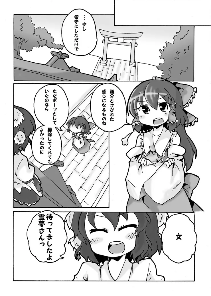 儚月抄後あやれいむ Page.3