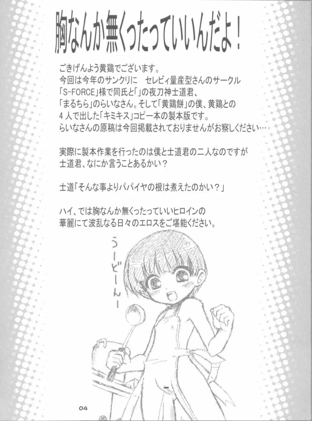 胸なんか無くたっていいんだよ! Page.4