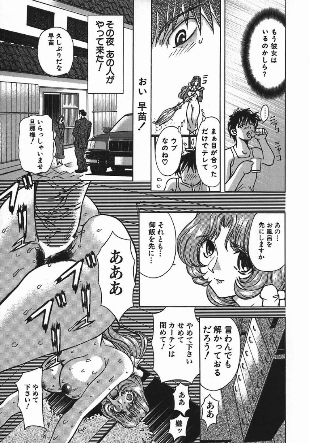 姦姦嬲り Page.9