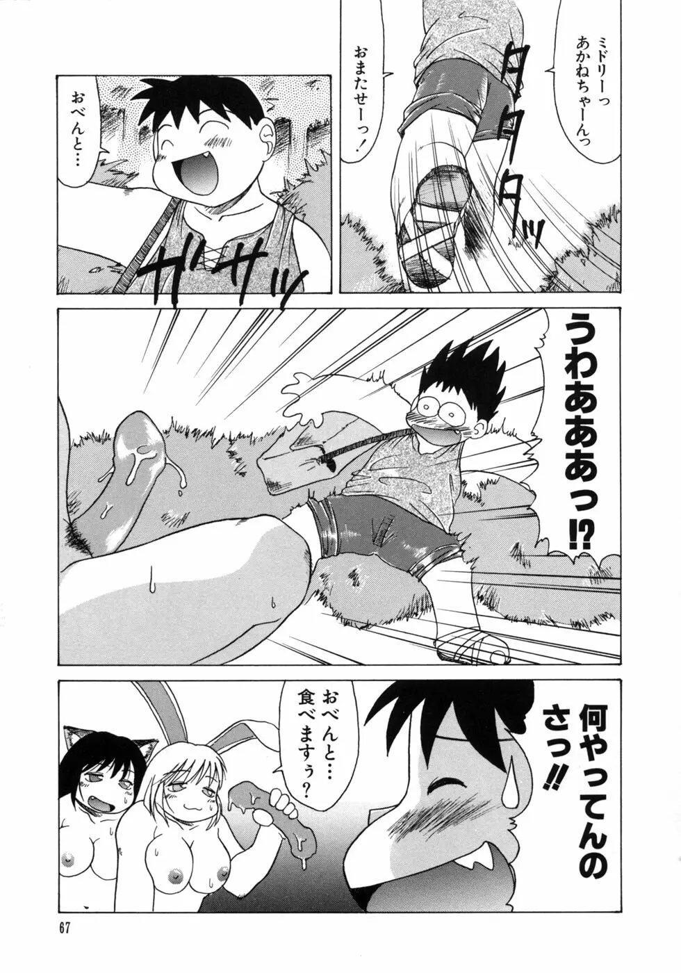 愉しいオモチャ Page.69