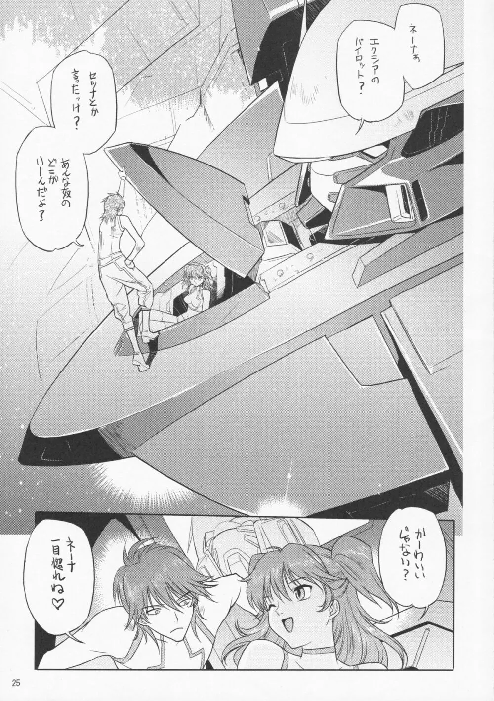 ネーナ タイフーン Page.24