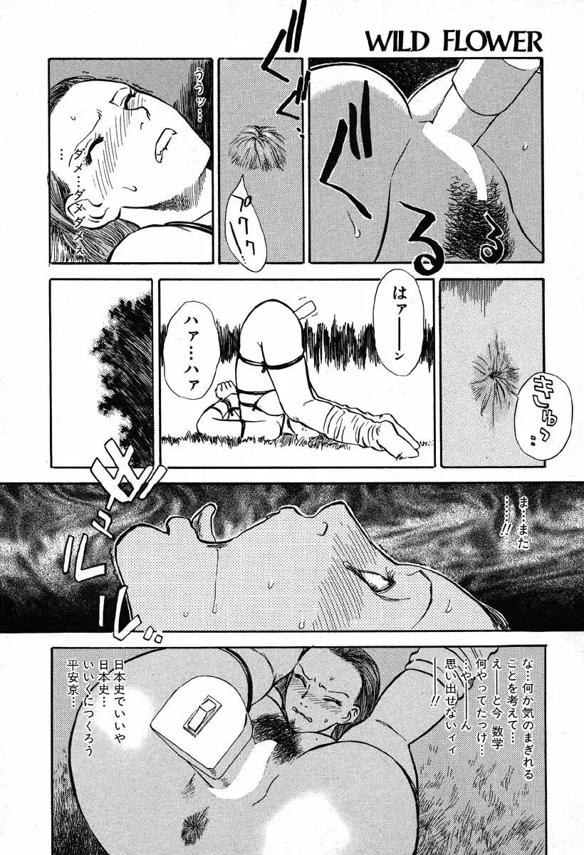 ワイルドフラワー Page.28