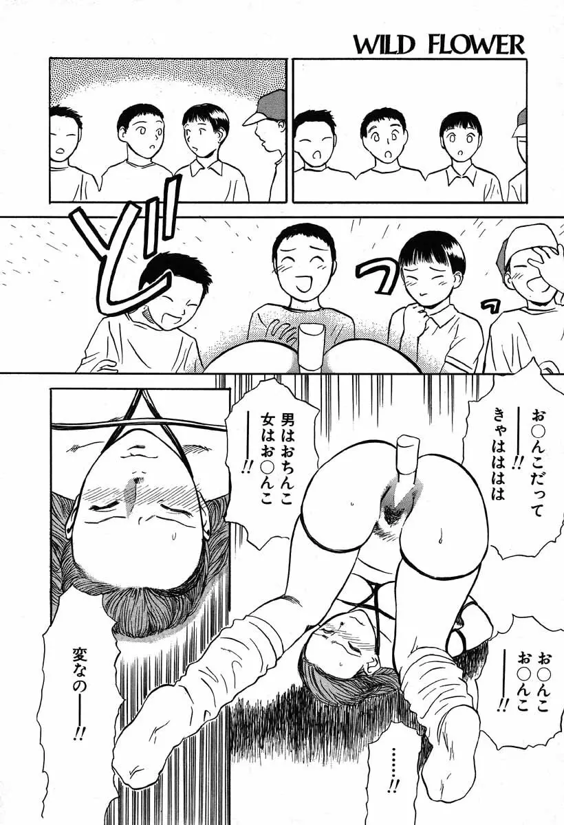 ワイルドフラワー Page.50