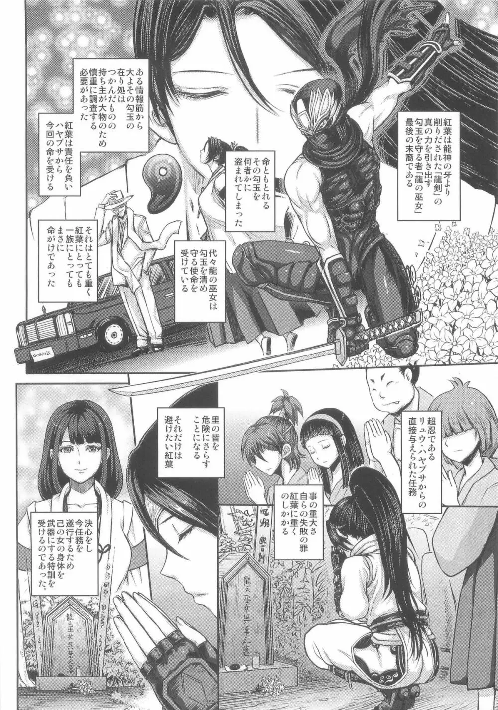 DOA DOA HARD CORE 紅葉染 Page.12