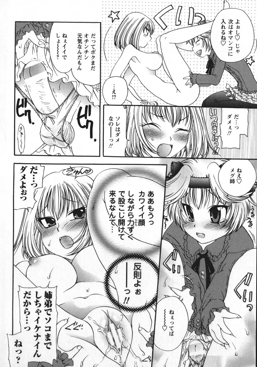 総統の肉人形 Page.29