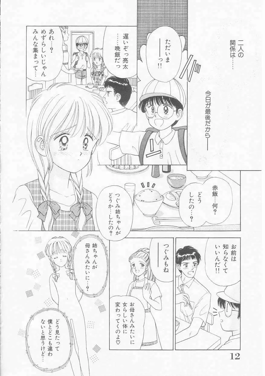 あぶない姉弟 Page.13