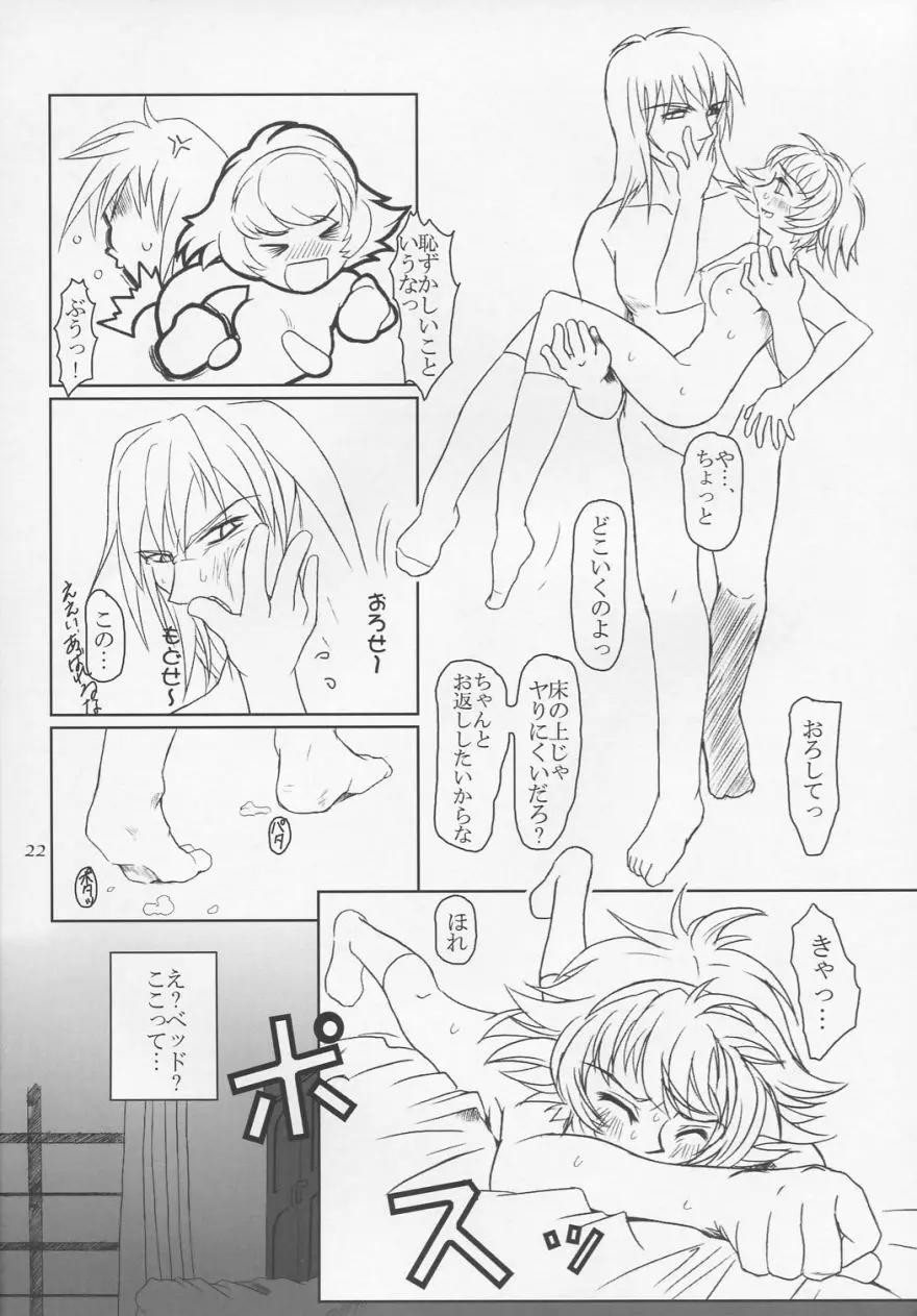 プリーティア ひめのおもかげ Page.21