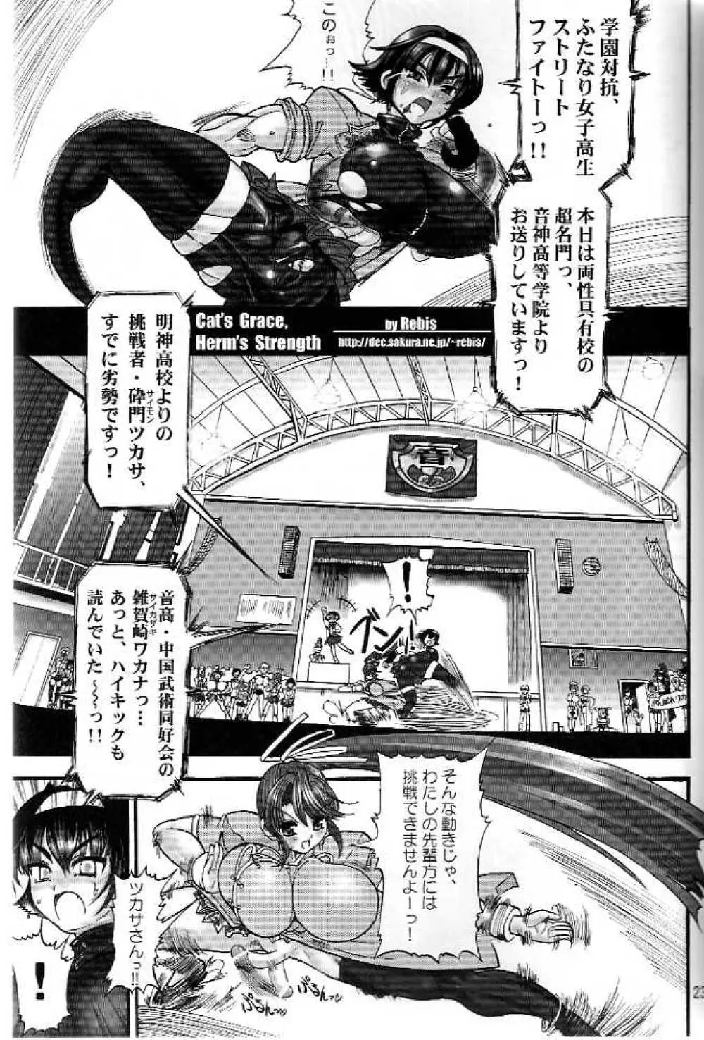 AMI自由帳弐ふたなりすと Page.21