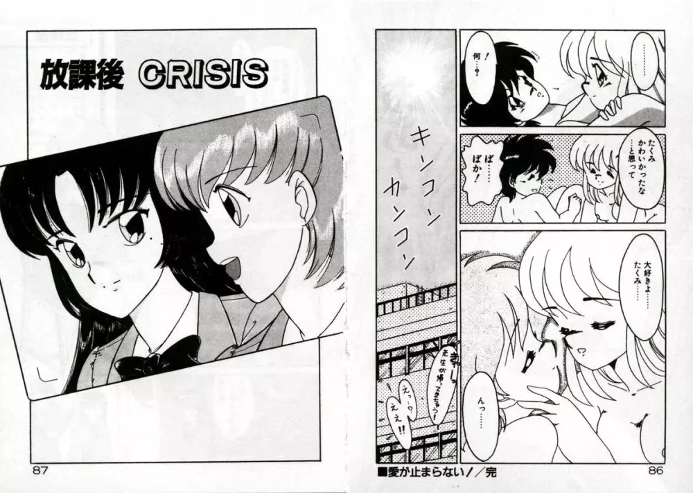 プライベートにご用心 Page.45