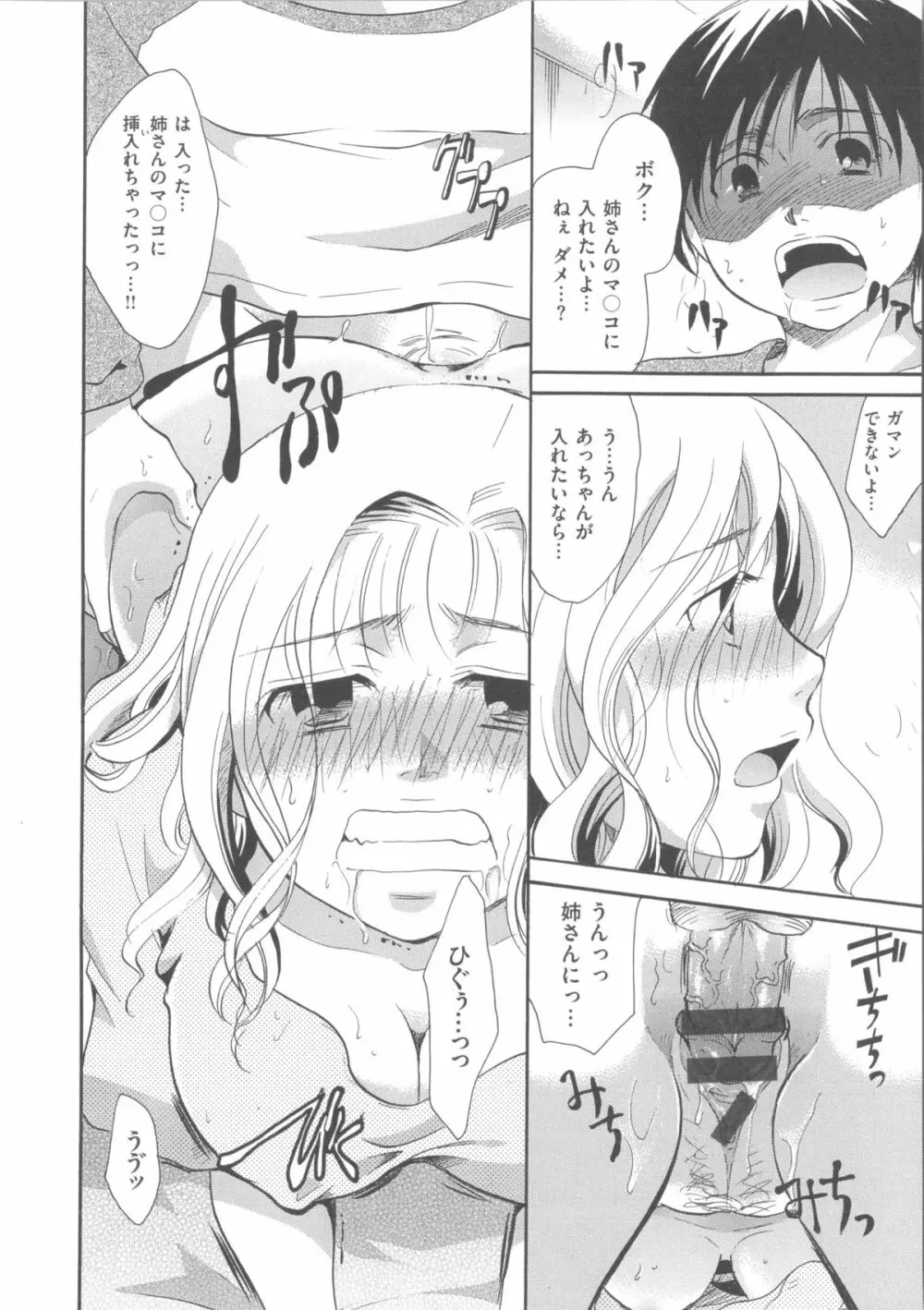 花のさえずり Page.141