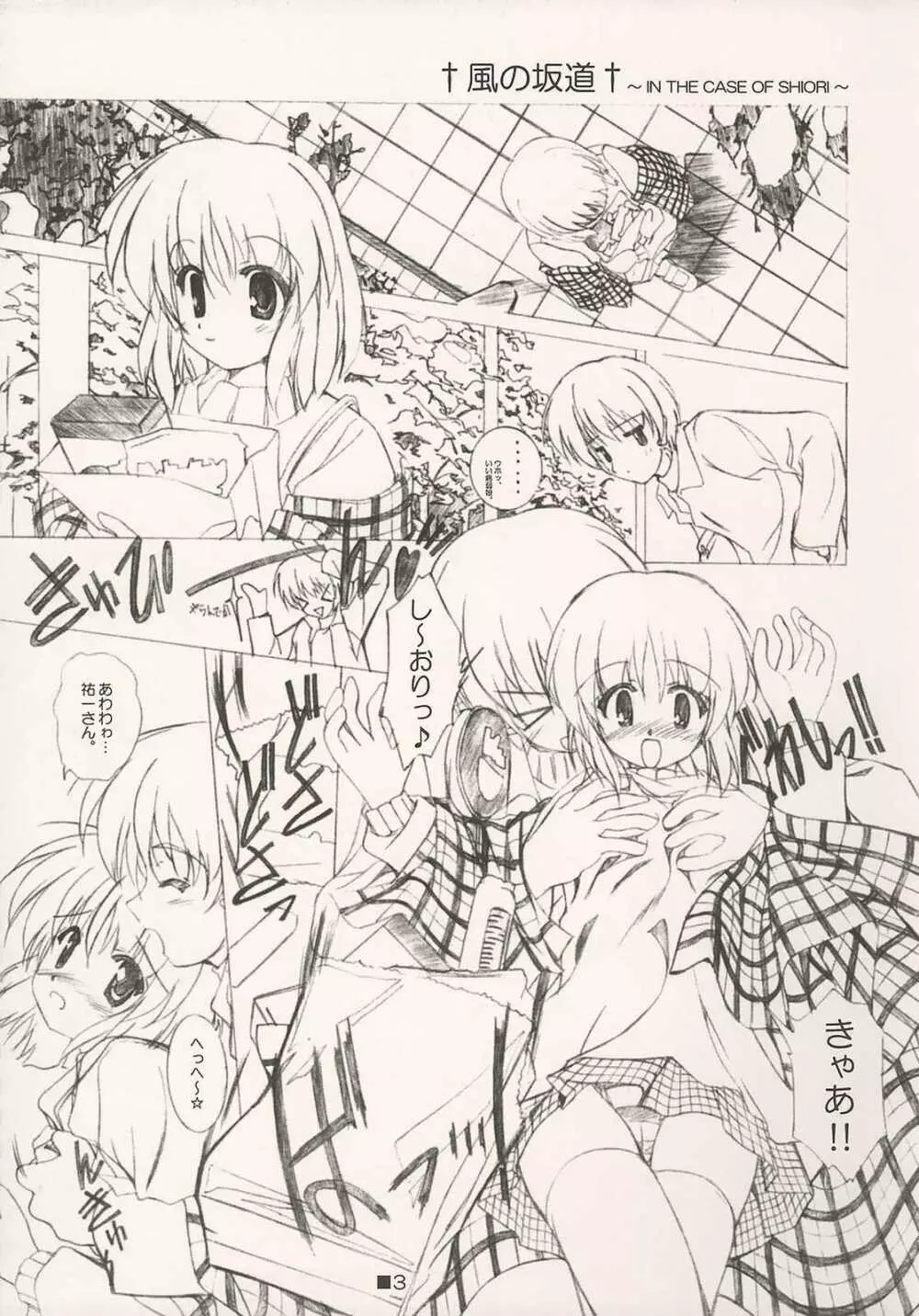 SELECTION AND COLLECTION 2003 IN THE CASE OF SHIORI Page.3