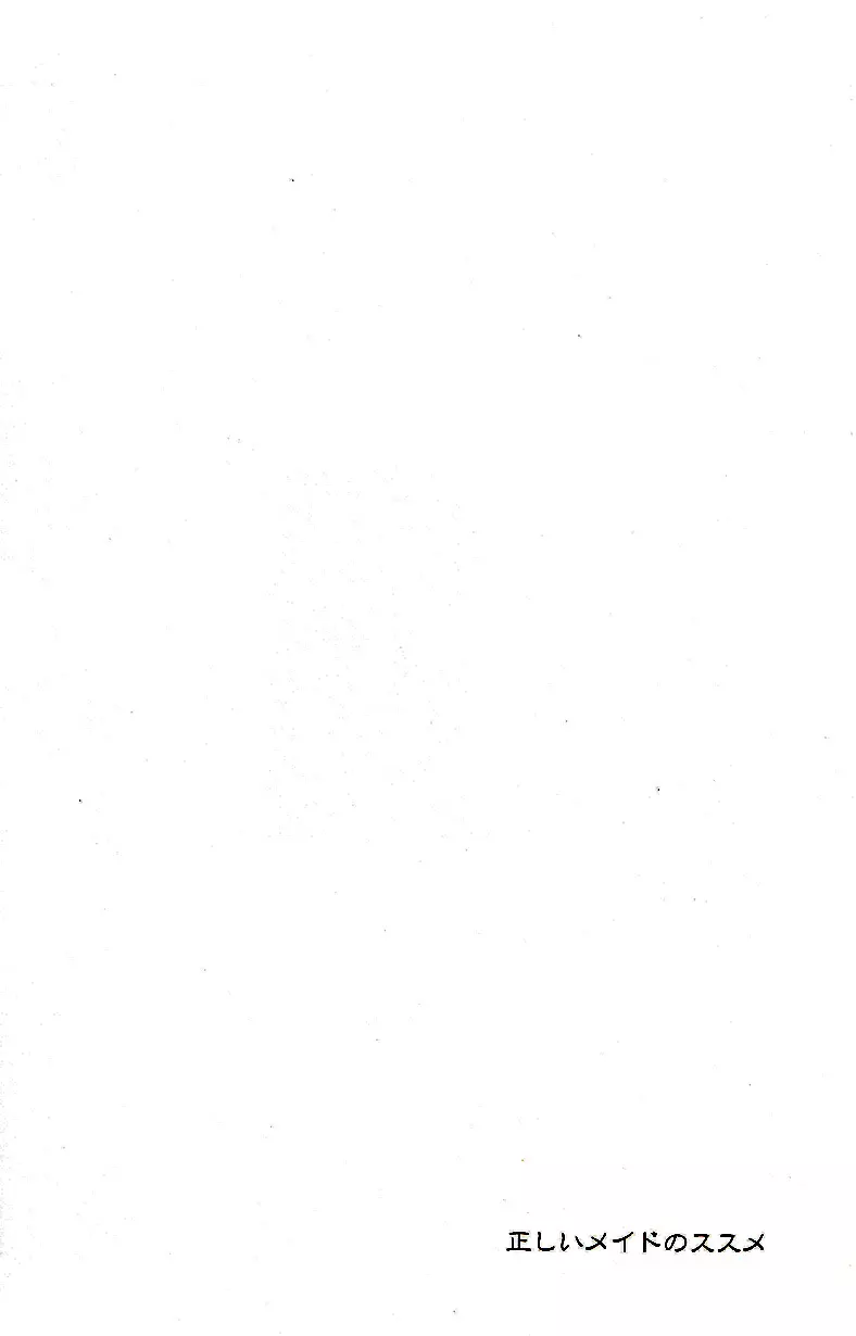 正しいメイドのススメ Page.29