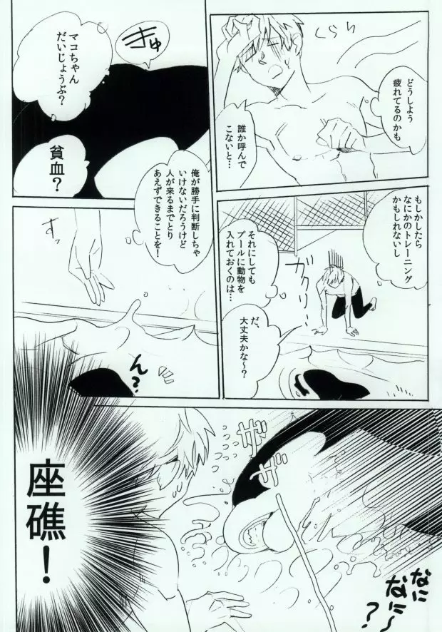 シャチまこ! Page.7