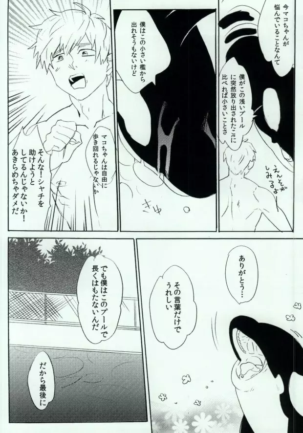 シャチまこ! Page.9