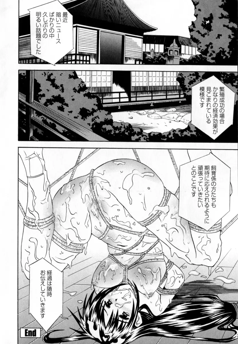 凌辱小町 Page.178