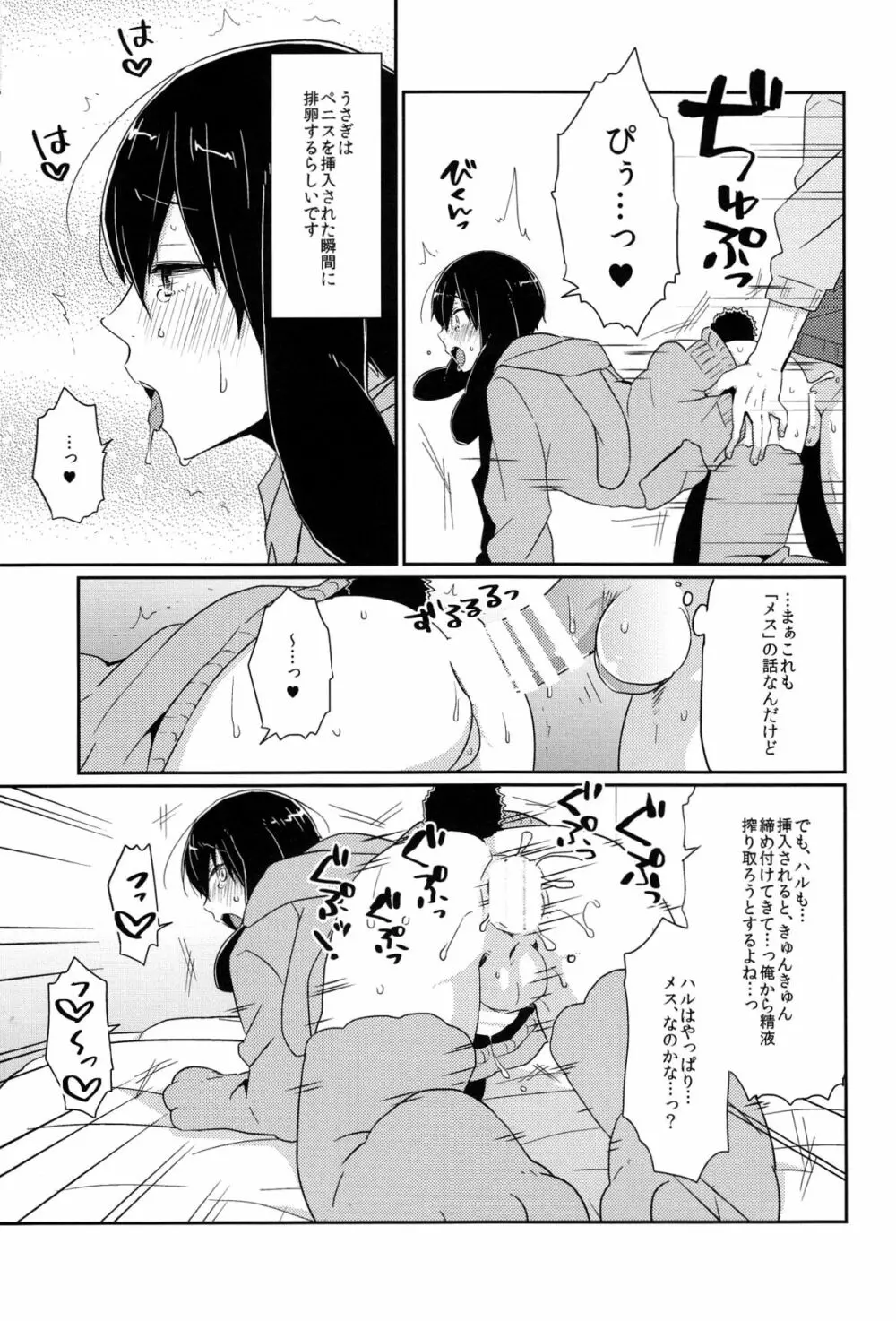 うさハル飼育日記 Page.13