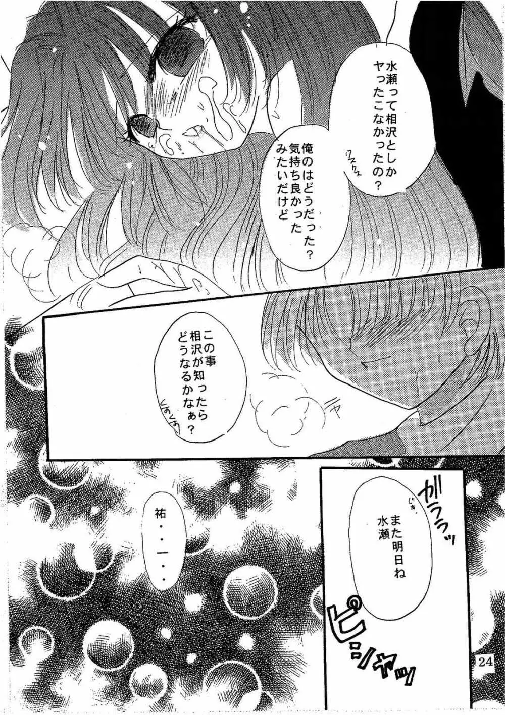 シークレットガーデン Page.23