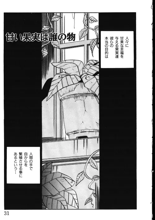 メイドさん計画 Page.31