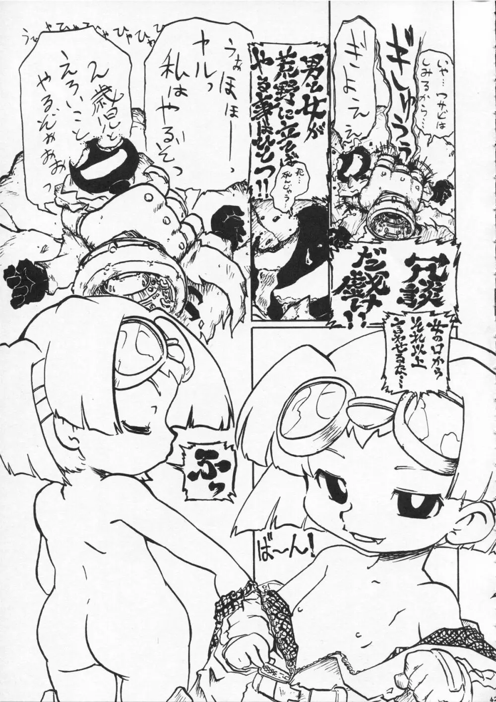 つるぺた研究報告書009 Page.43