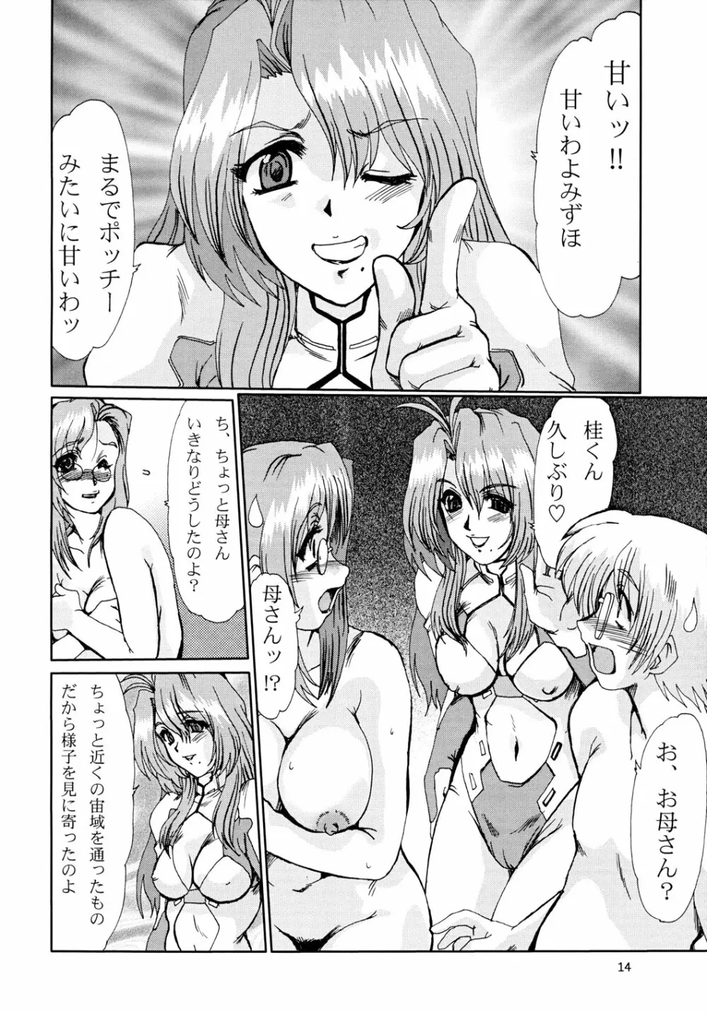 F-41 Page.13
