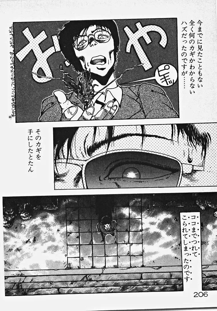 夢色エッチまじっく Page.211