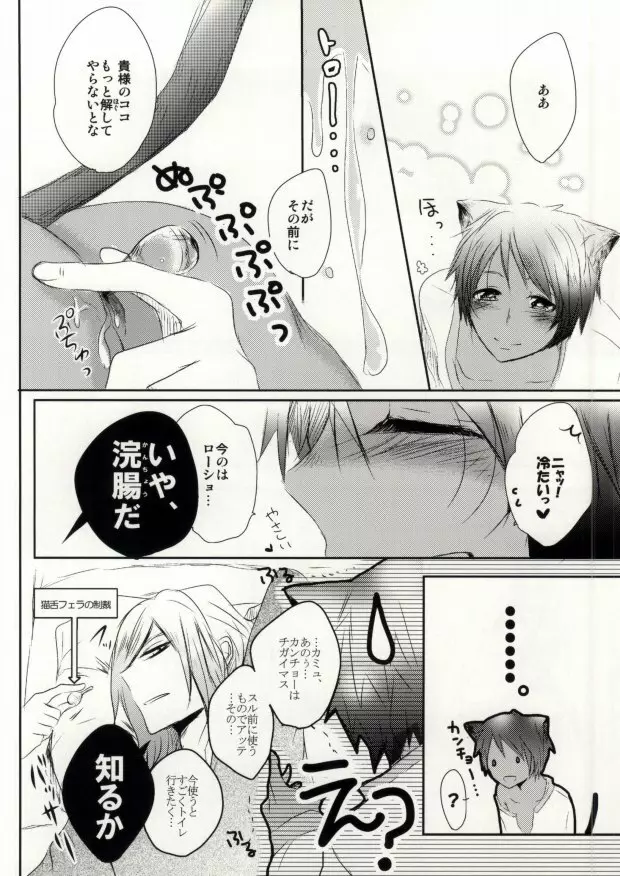 ア・ハウス・キャット Page.19