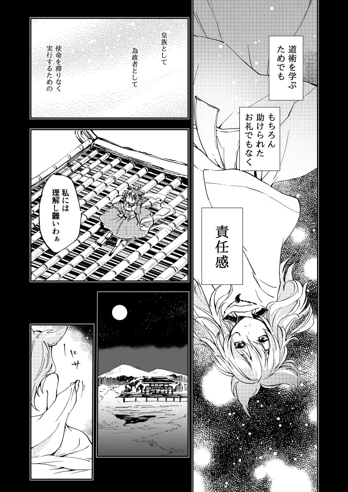 とある邪仙の回顧録 Page.12