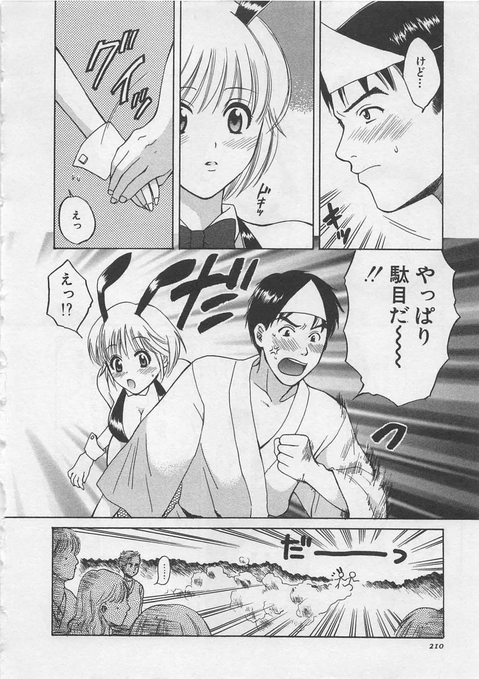 蛍の棲む川 Page.211