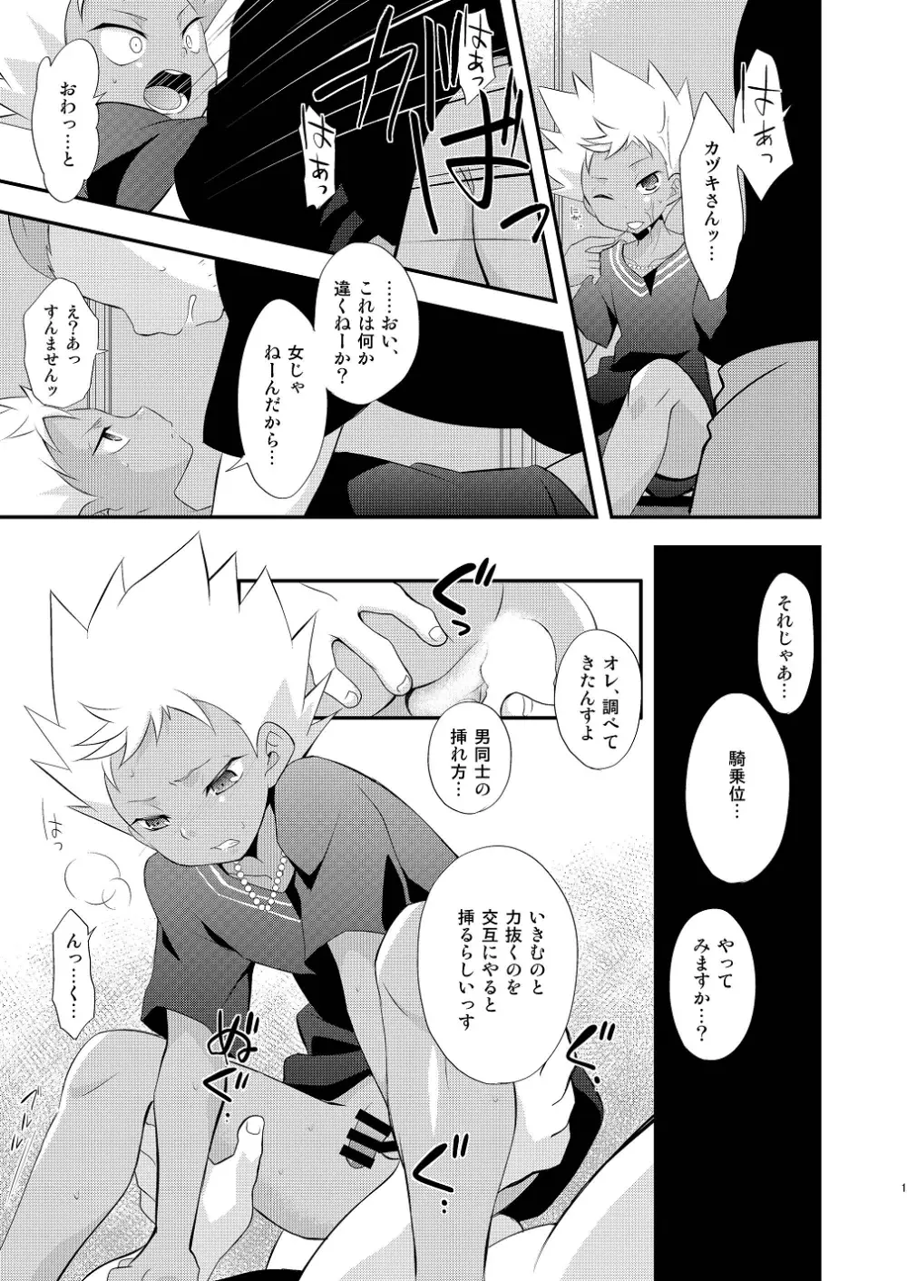Tricolor Party Page.17