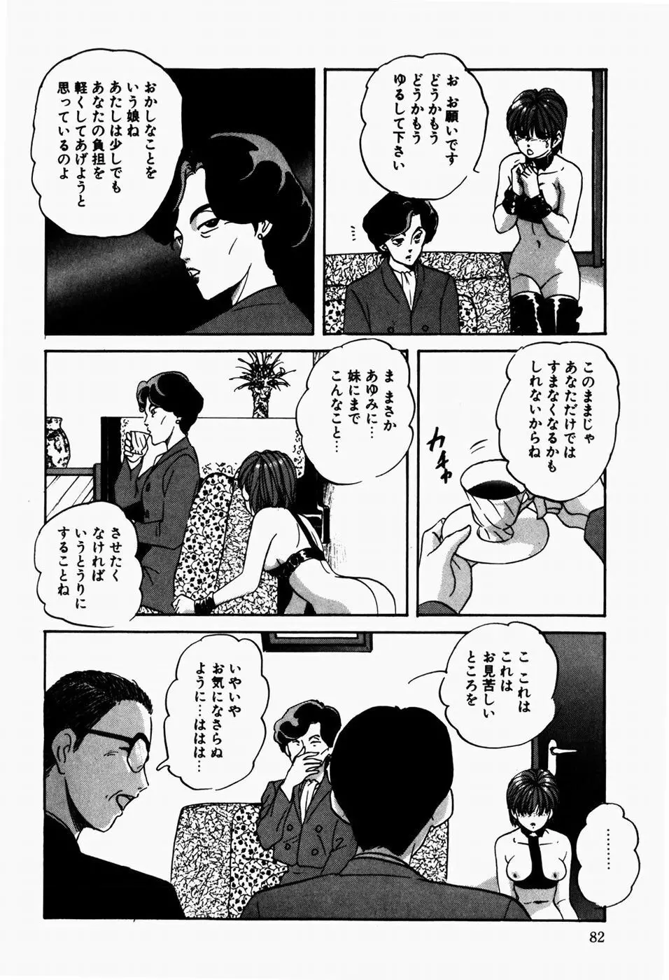 ファンシーツール Page.84