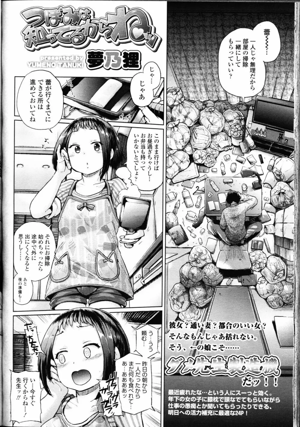 ガールズフォーム Vol.09 Page.336