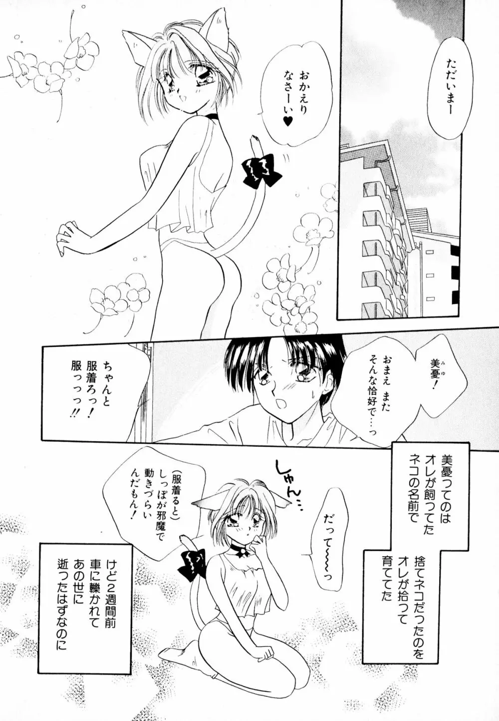 ネコまっしぐら! Page.6