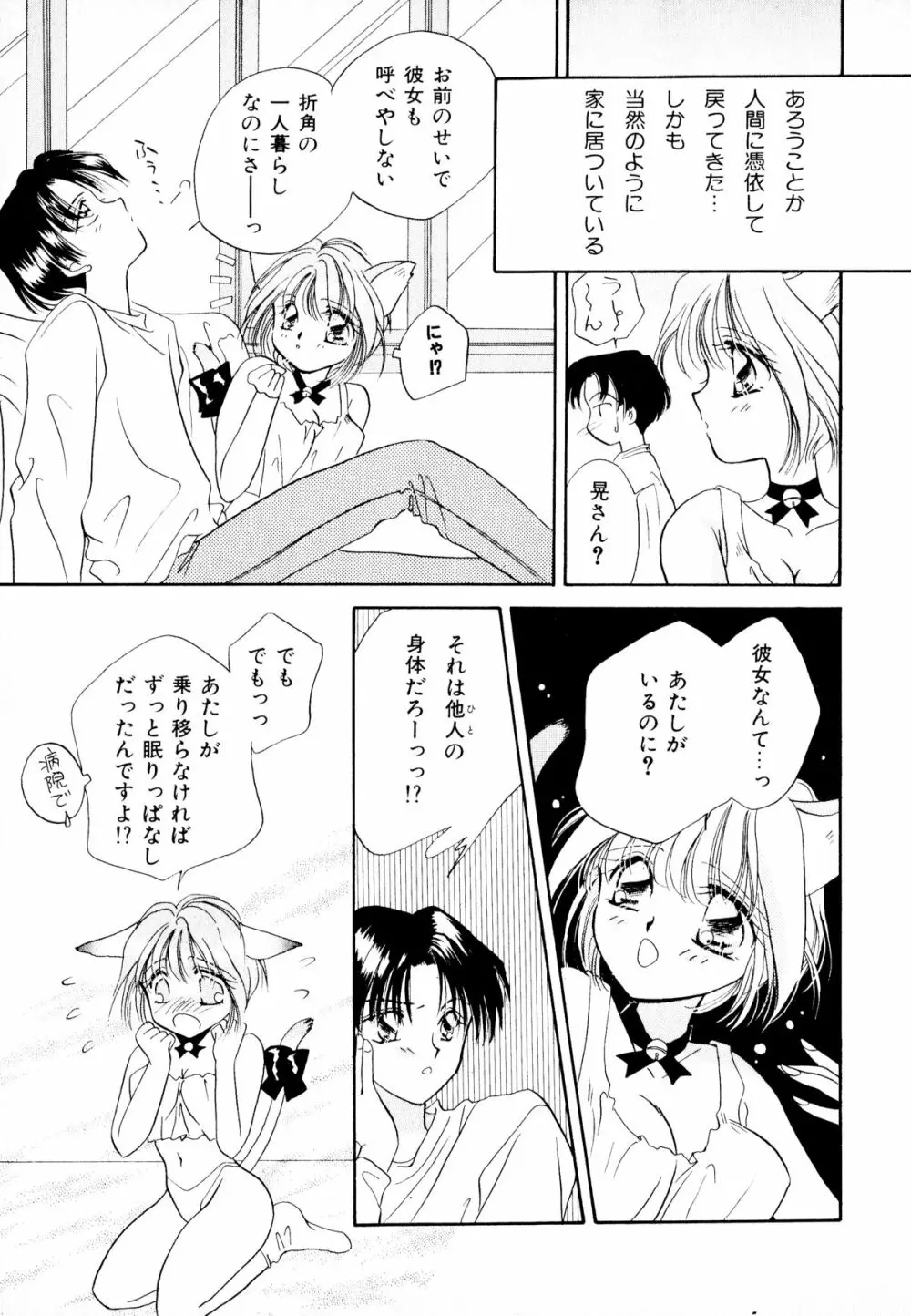 ネコまっしぐら! Page.7