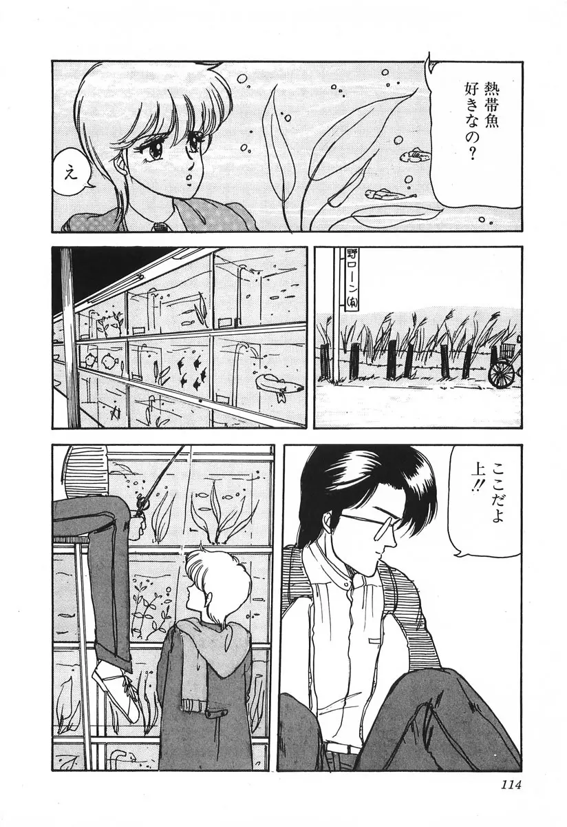 ドキドキC体験 Page.114