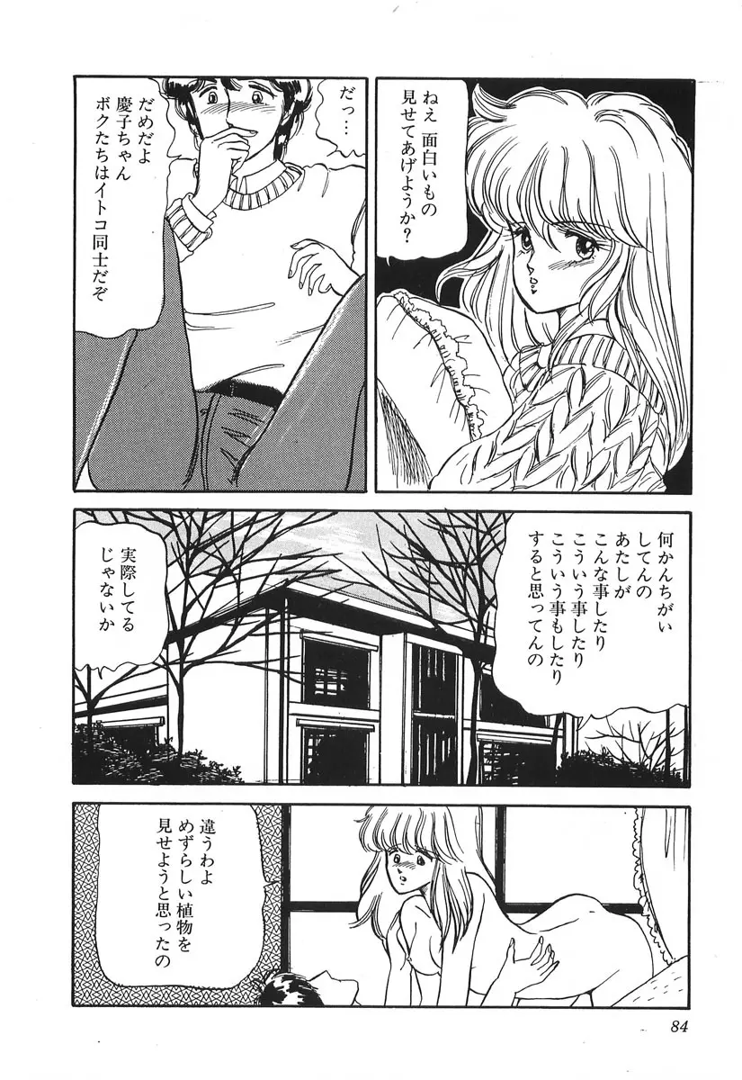 ドキドキC体験 Page.84