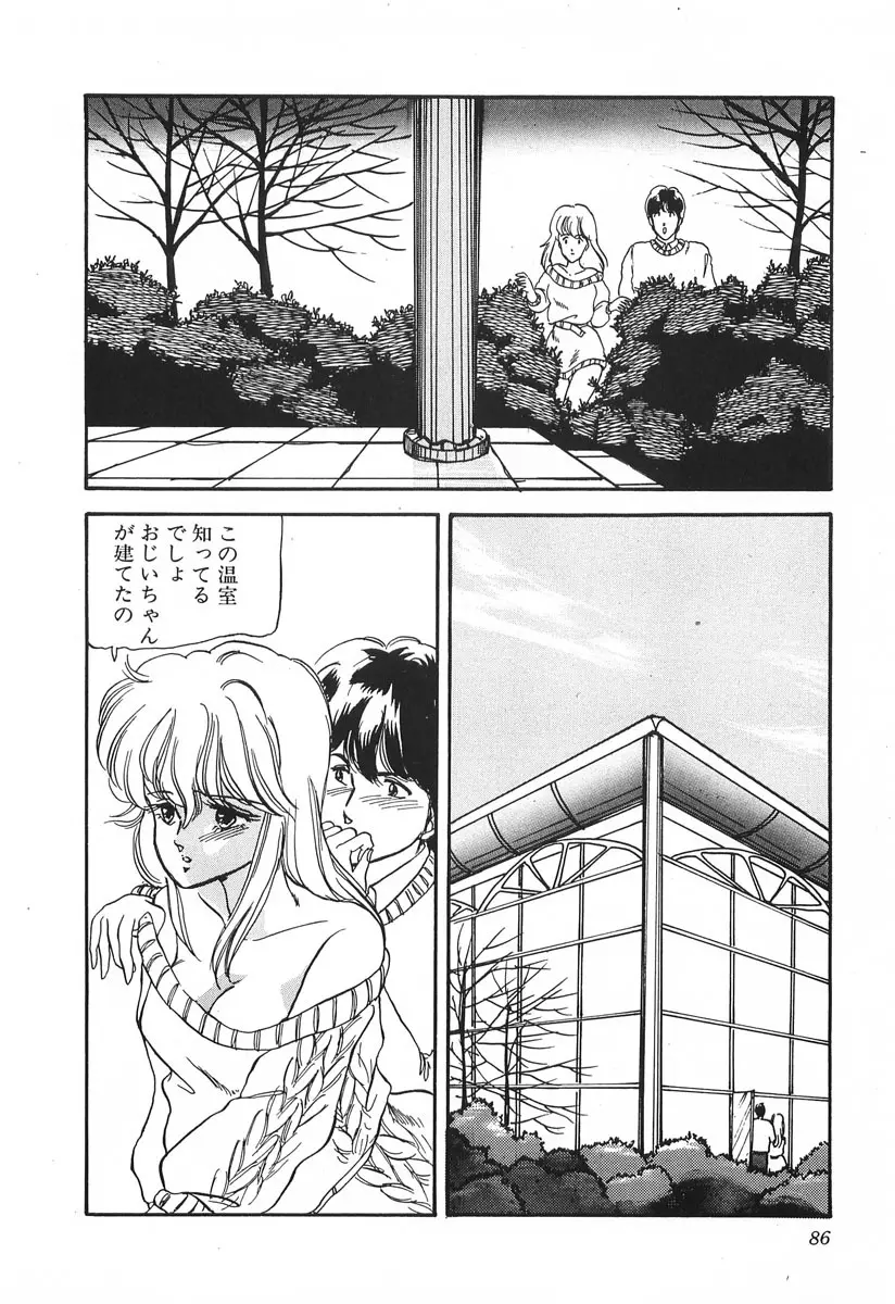 ドキドキC体験 Page.86