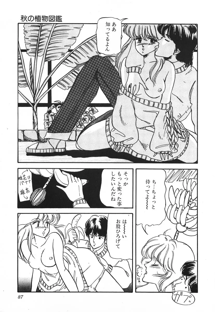 ドキドキC体験 Page.87