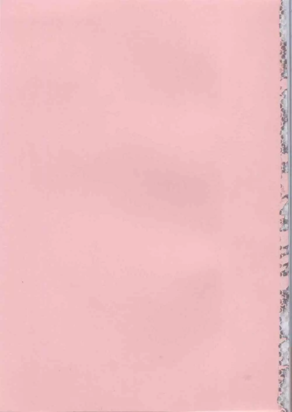 ピンクの穴 Page.193