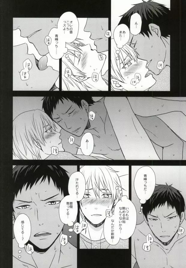 OPPI Page.13