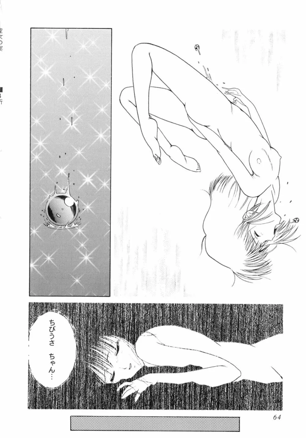 聖女の宴 Page.66