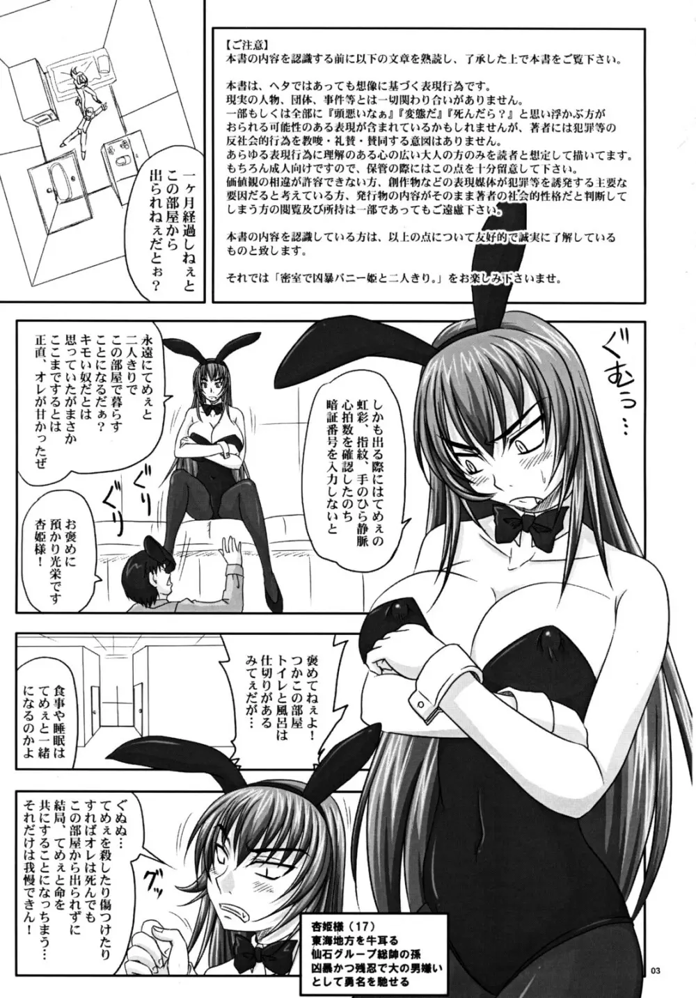 密室で凶暴バニー姫と二人きり。 Page.2