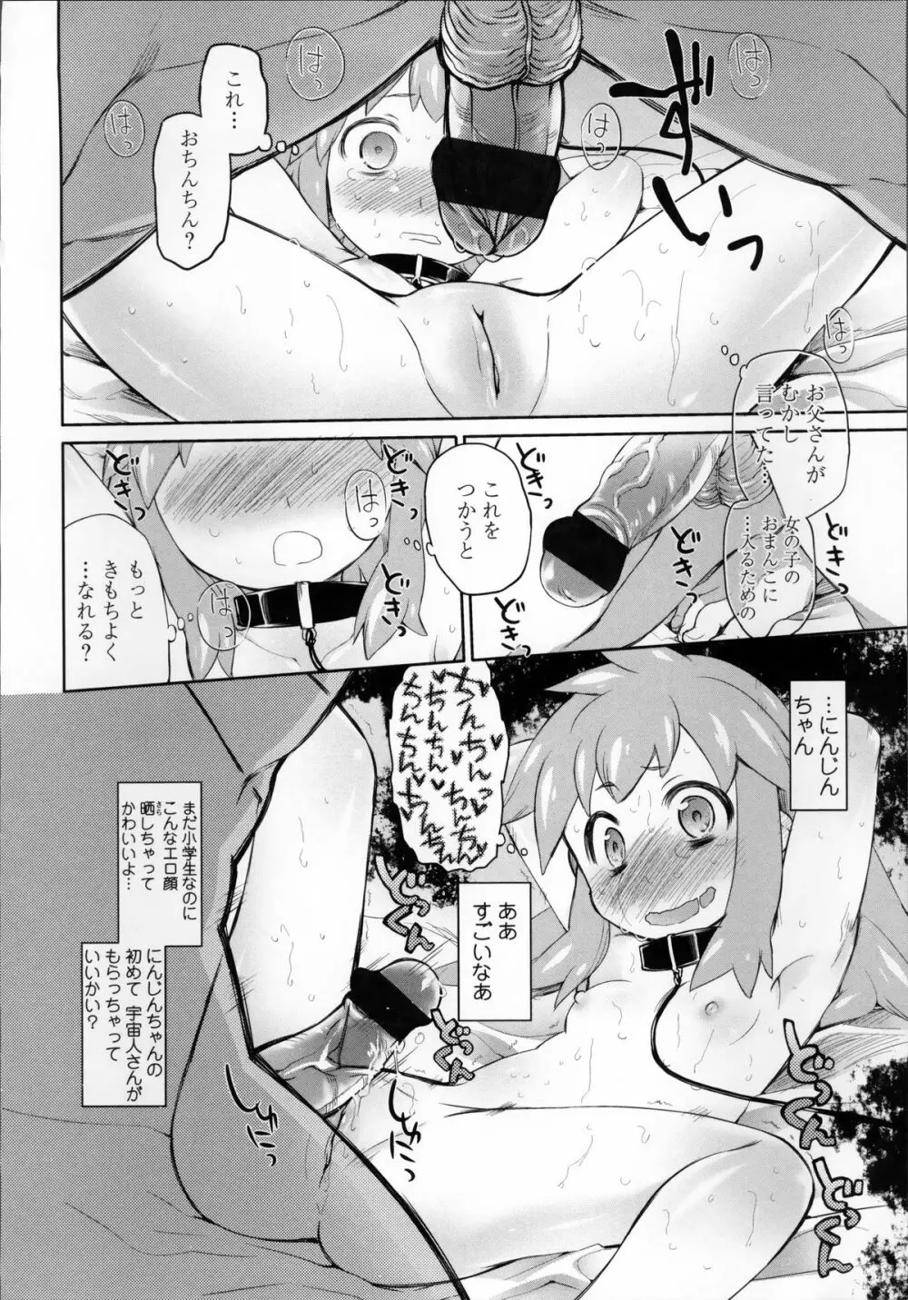 ガーデン II Page.39