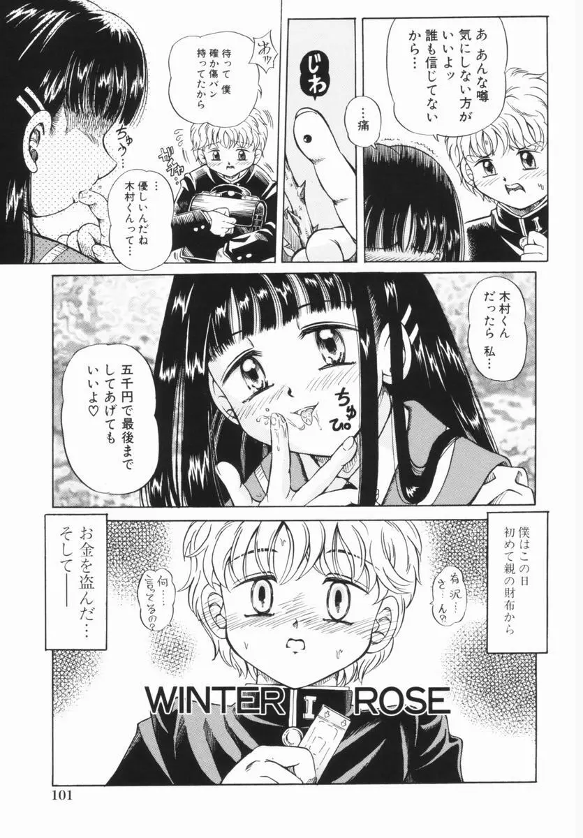 少女の秘蜜 Page.104