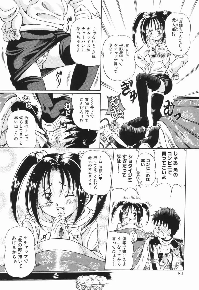 少女の秘蜜 Page.87