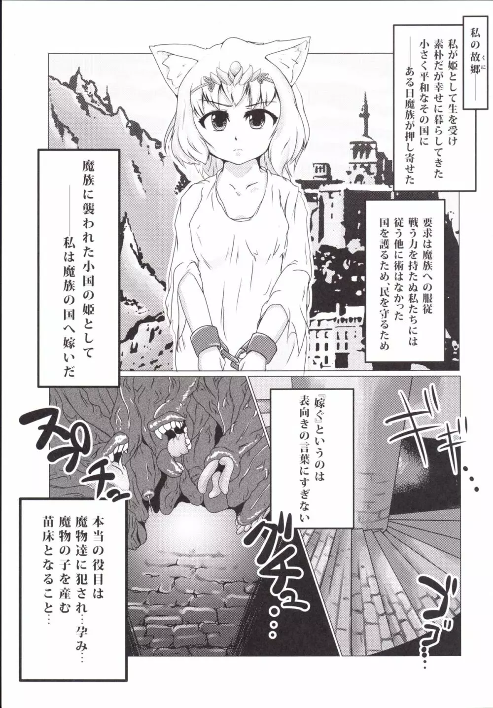 ヒメノシメイ Page.2