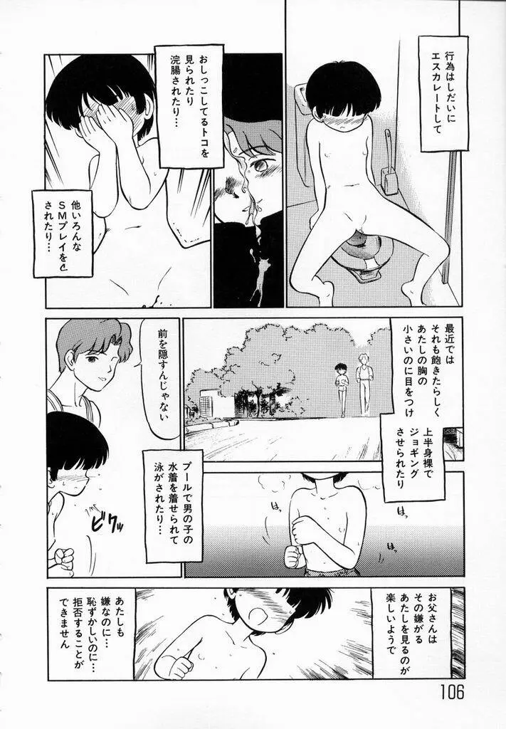 少女伝説ミレニアム Page.109